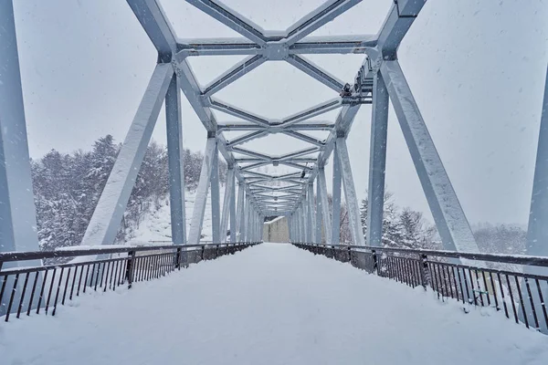 Güzel manzara mavi nehir köprüsü yakınındaki Shirahige şelaleler Biei şehir, Hokkaido, Japonya.