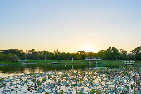 Beautiful sunset scenic of nature and ecology lake in Taitung forest park at Taitung, Taiwan.
