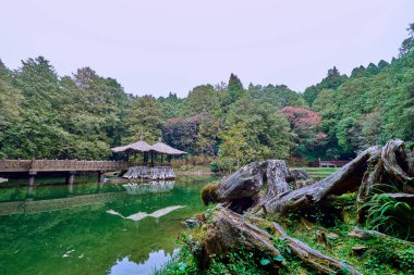 Tayvan Alishan ormanda küçük kulübe ile Jiemei Sister gölün güzel manzara.