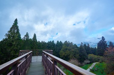 Tayvan Alishan ulusal orman rekreasyon alanında geçit üzerinde Güzel çarpıcı doğal doğal.