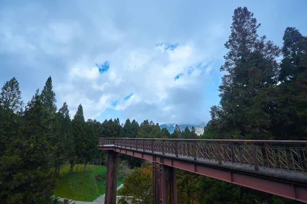 Tayvan Alishan ulusal orman rekreasyon alanında geçit üzerinde Güzel çarpıcı doğal doğal.