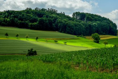 İsviçre 'de tarımsal alan, ağaçlar, gökyüzü ve bulutlarla manzara.