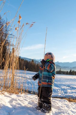 Noel Baba kırmızı şapkalı çocuk kış manzarasına karşı. Noel 'de karda gülen mutlu bir çocuk açık havada uzun boylu bitkilerin yanında duruyor. Crans Montana İsviçre 'de.