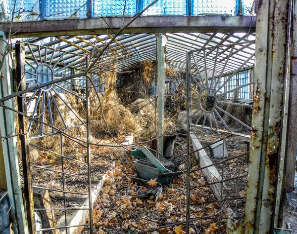 Drivhuset Tilhørte Skole Nummer Pripyat Nær Det Eksploderte Kjernekraftverket Tsjernobyl – stockfoto