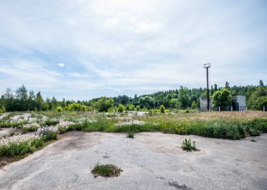 Çernobil - Ukrayna 'da patlayan Çernobil enerji santralinin radyoaktif alanına giriş için Dytyatky kontrol noktası. Fotoğraf: Haziran 2013.