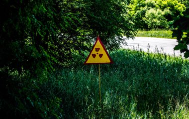 Çernobil - Ukrayna 'da patlayan Çernobil santralinin yanındaki Kopachi anaokulundaki radyoaktif bölge. Fotoğraf: Haziran 2013.