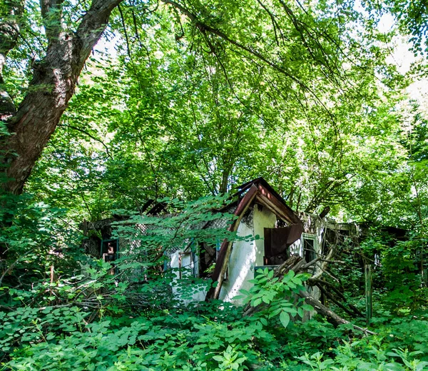 Abandoned Part Still Working Village Chornobyl Chernobyl Area Ukraine Former — Stock Photo, Image
