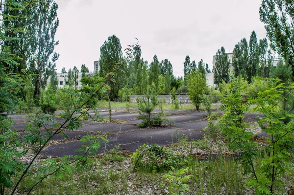 Cidade Abandonada Prypjat Área Chernobyl Ucrânia Antiga Parte Antiga União — Fotografia de Stock