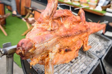 Timsah ocakta ızgara