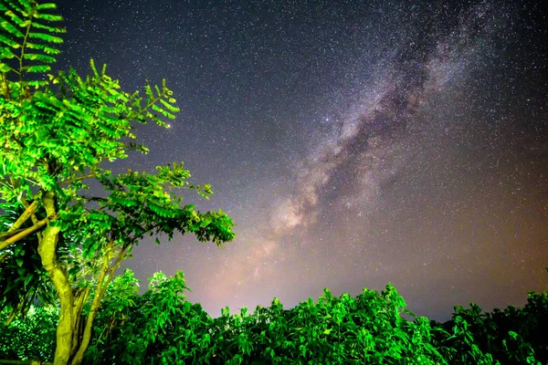 Milky Way Forest — Stock Photo, Image