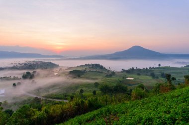 dağ güneş ışığı ile sis