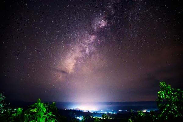 Milky Way Forest — Stock Photo, Image