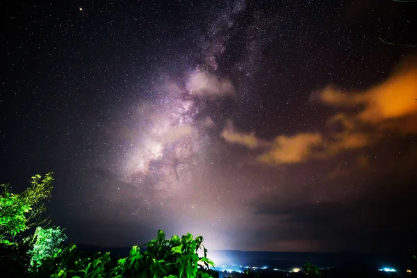 Milky Way Forest Dark Night — Stock Photo, Image