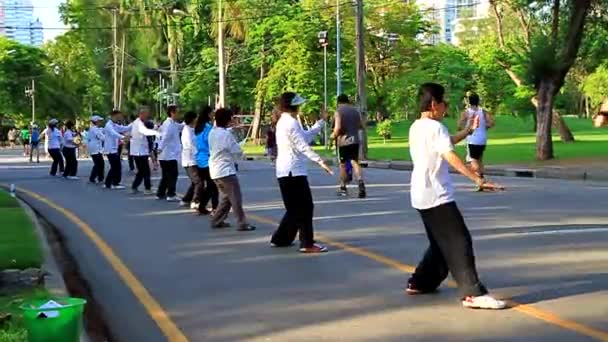 Tai Chi Grupo Parque — Vídeo de Stock