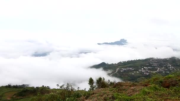 早晨山上的薄雾的平移视野 — 图库视频影像