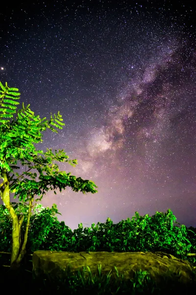 Vía Láctea Bosque — Foto de Stock