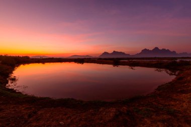 Göl Manzaralı günbatımı zamanında pembe Lotus