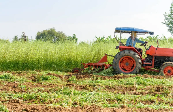 Petani Menggunakan Tractor Inkorporasi Pupuk Hijau — Stok Foto