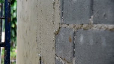 Beyaz çanak üzerinde kalıp pişmiş pirinç alın 