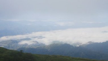 Sabah yağmur dağlarda sis için kaydırma