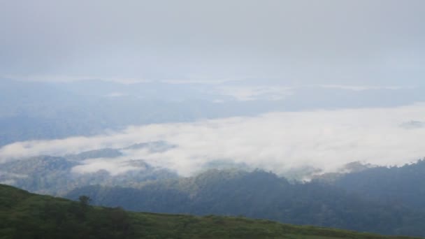 雨の朝の山の霧にパンニング — ストック動画