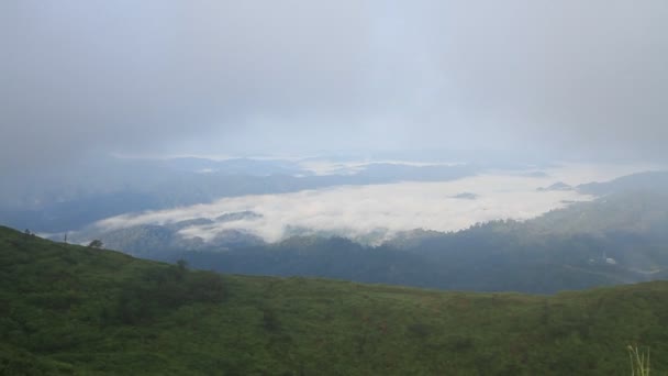 在下雨的早晨放大山上的薄雾 — 图库视频影像
