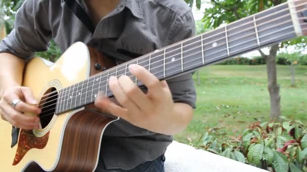 Muzikant Speelde Gitaar Het Park — Stockvideo