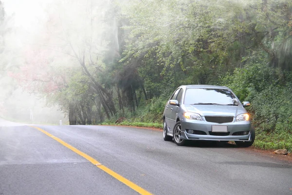 Dirija Carro Floresta Com Névoa — Fotografia de Stock