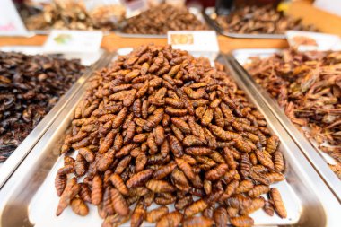 tepside Beetle Fried Worms bir sürü