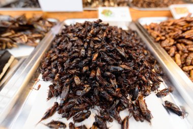 tepside kızartılmış kriket bir sürü 