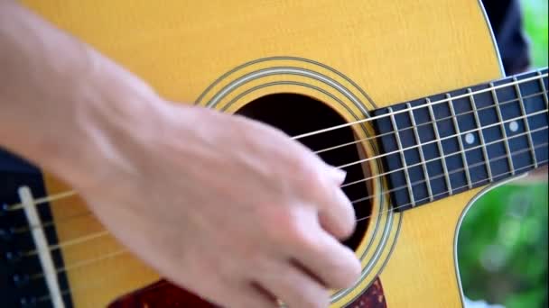 Μουσικός Που Παίζει Ακουστική Κιθάρα Στο Πάρκο — Αρχείο Βίντεο