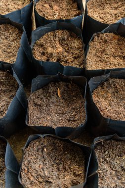 Bitki için Kırpma torbalarında Toprak karışık hindistan cevizi kabuğu saç