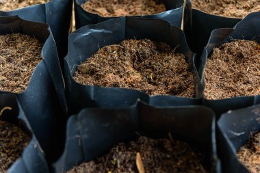 Bitki için Kırpma torbalarında Toprak karışık hindistan cevizi kabuğu saç