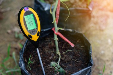 Use soil PH meter for check the PH value  clipart