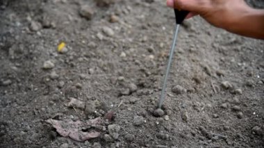 PH değerini kontrol etmek için toprak pH ölçer kullan 