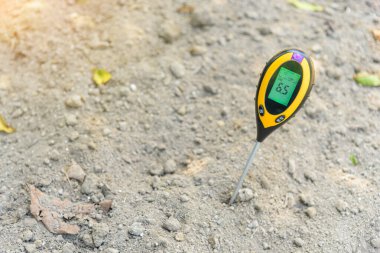 PH değerini kontrol etmek için toprak pH ölçer kullan 