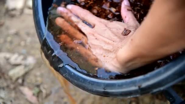 Gießen Sie Das Wasser Nach Dem Einweichen Der Kokosnussschale — Stockvideo