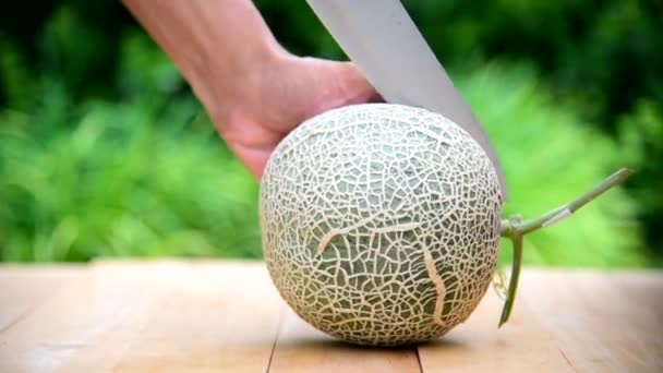 Homme Utilise Couteau Pour Fendre Melon Vert Sur Une Plaque — Video