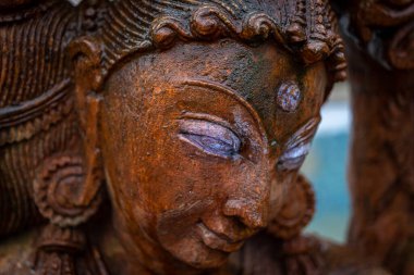 Keskin özellikleri olan putun yakın plan görüntüsü