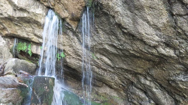 Una Sola Corriente Cascada Gegsky Abhazia — Foto de Stock