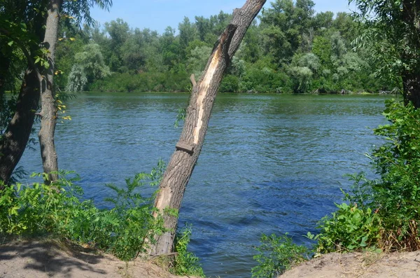 Bellissimo Panorama Sul Fiume — Foto Stock