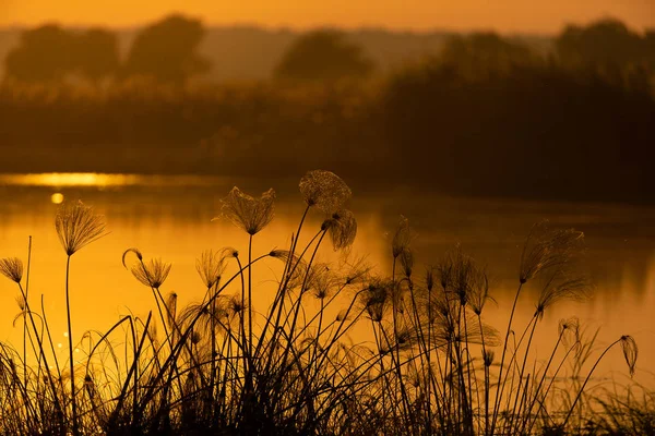 Vedere Scenică Iazului Savana Africană Apus Soare — Fotografie, imagine de stoc