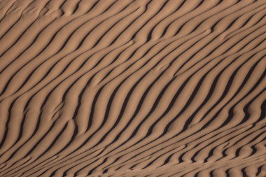 günbatımı üzerinde güzel çöl kumulları