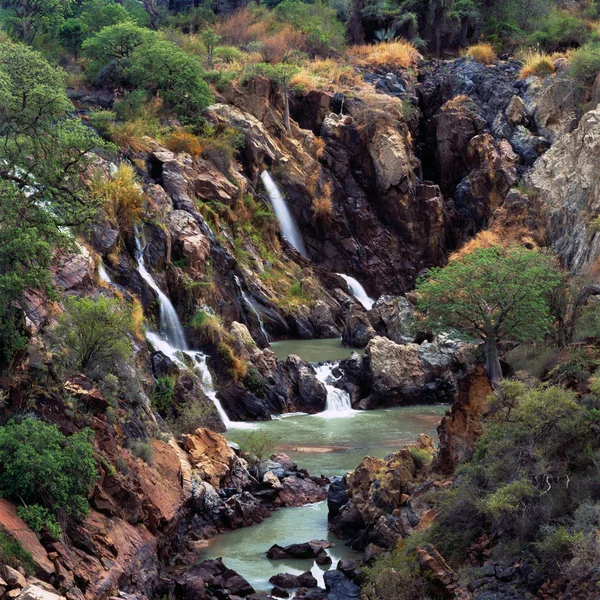 Malerische Natur Afrikas Bäume Und Wasserfälle — Stockfoto