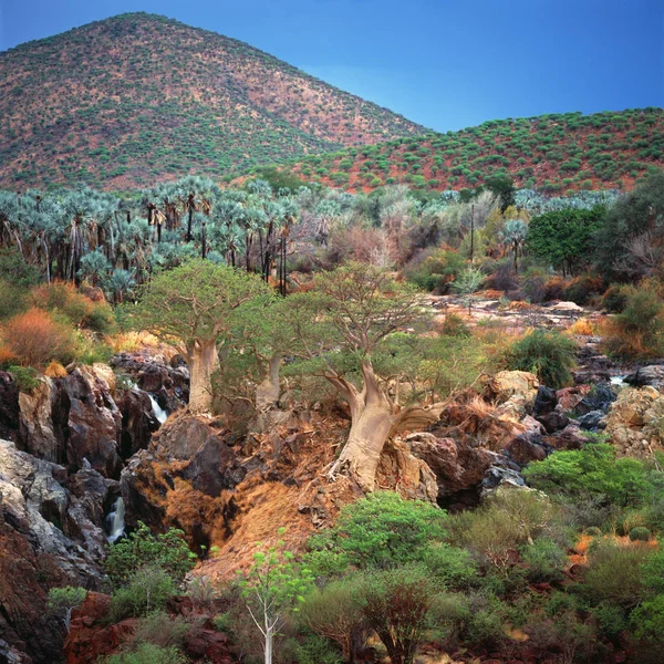 Afrika Yeşil Ağaçlar Tepelerin Pitoresk Doğası — Stok fotoğraf