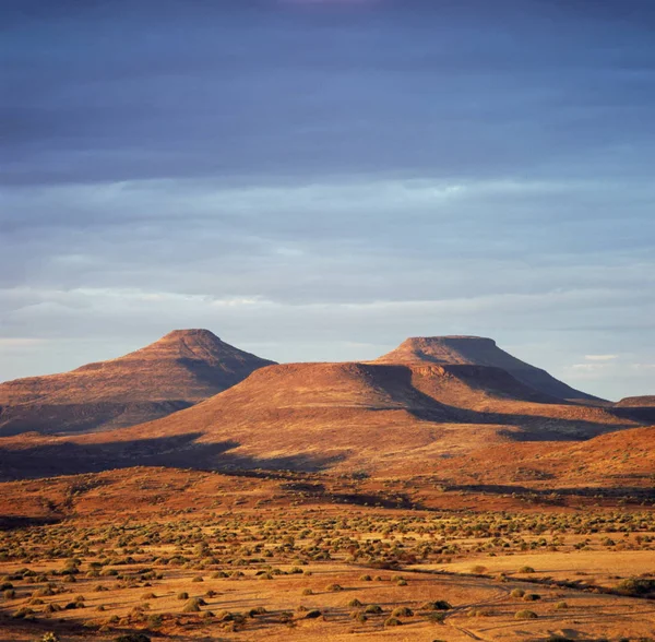 Afrika Botswana Savannah Festői Természeti — Stock Fotó