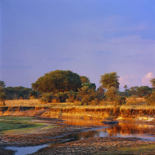 Paesaggio Serale Fiume Con Foresta Sfondo — Foto Stock