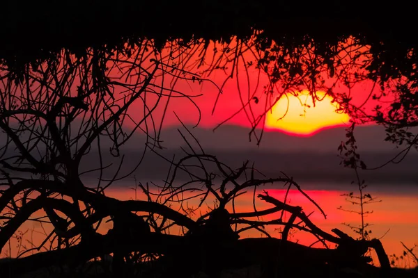 진홍빛 하늘과 반사와 강변에 웅장한 — 스톡 사진