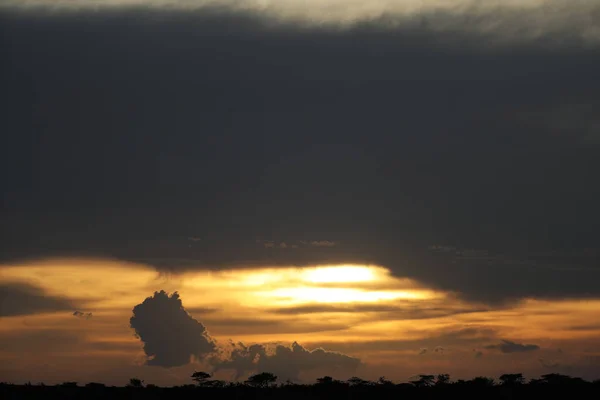 Schöne Naturkulisse Malerischer Sonnenuntergang Kenia — Stockfoto