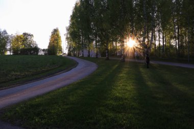 Ağaçlar arasındaki güneş ışınları ve geniş yeşil çimen alanı